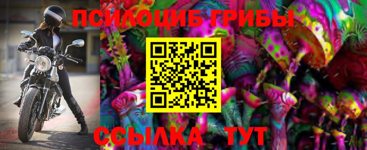 Галлюциногенные грибы Psilocybine cubensis Карталы